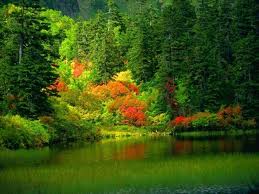 images (43)