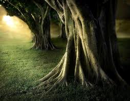 images (48)