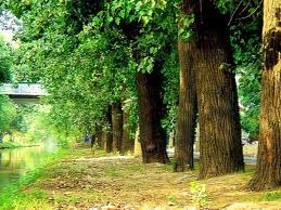 images (54)